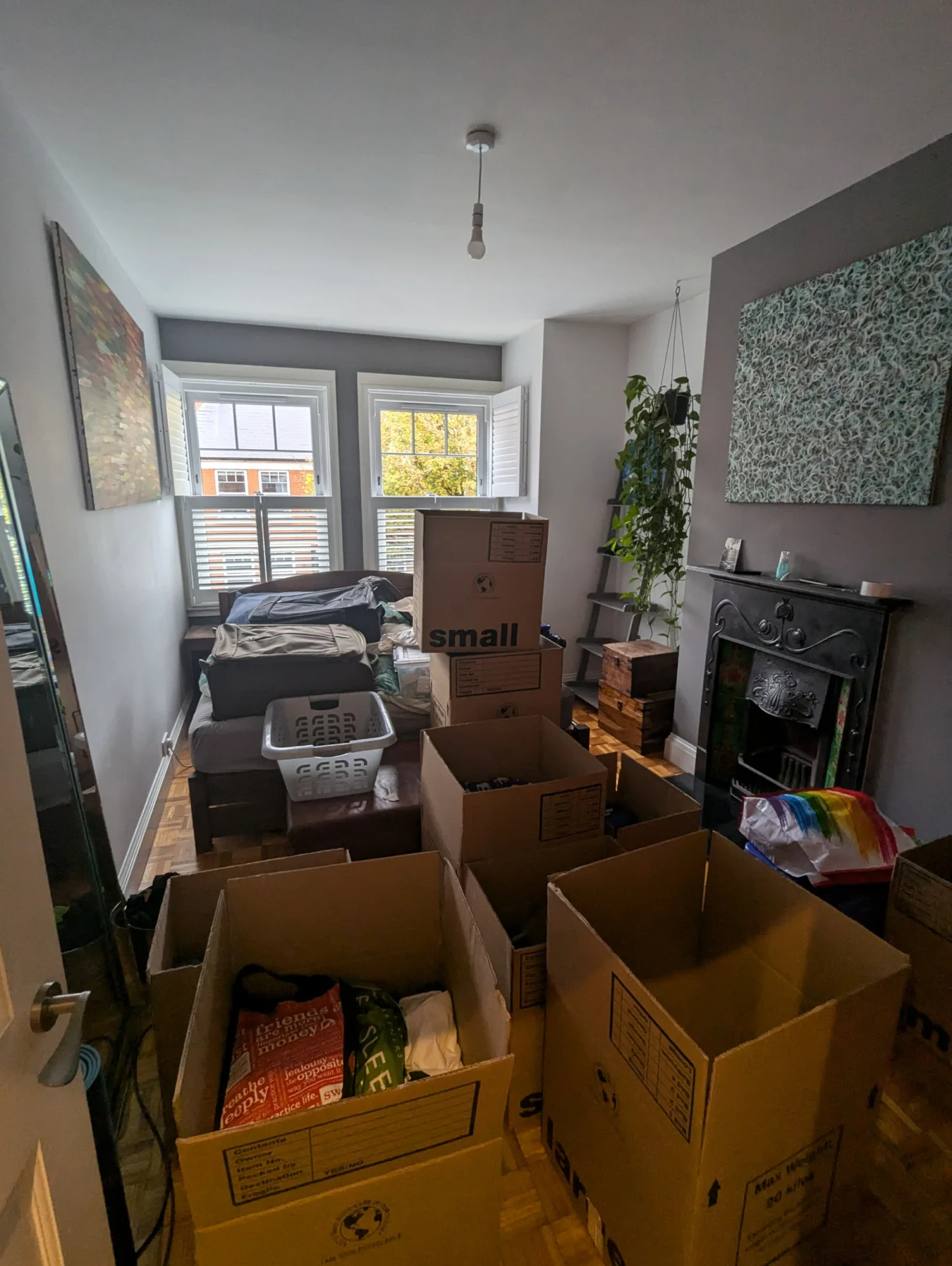 Colour-coded and labelled moving boxes packed by RAD